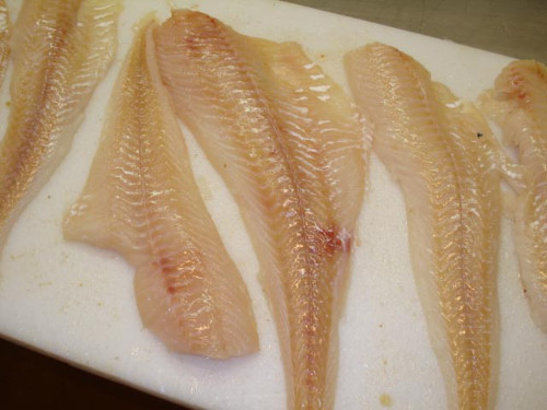 Cod(Gadus morhua)