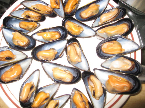 Blue Mussels (Mytilus edulis)